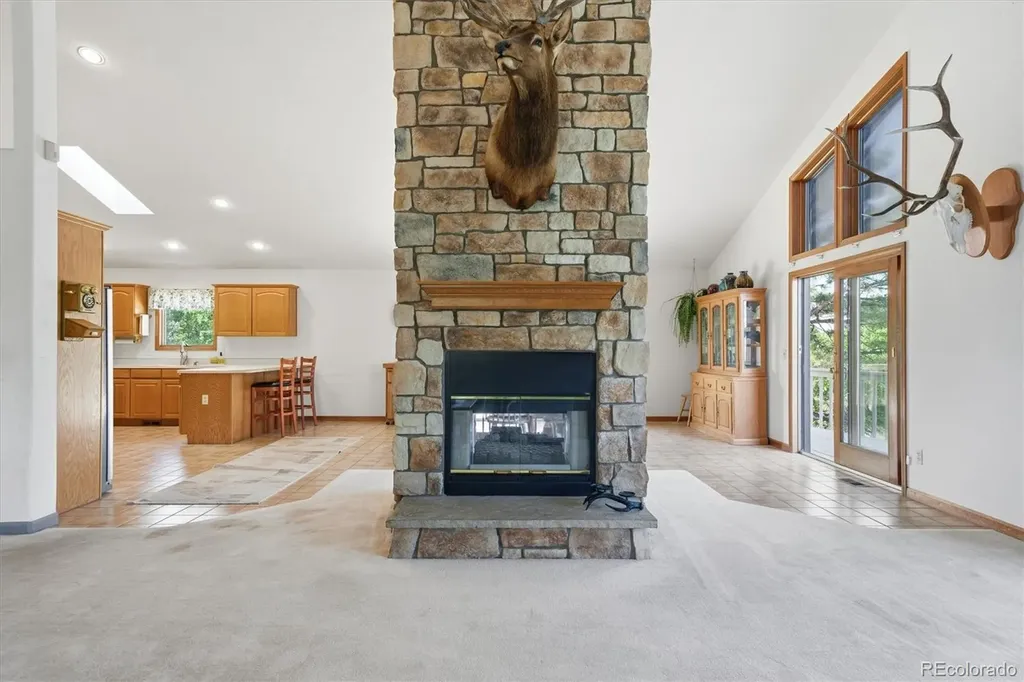 5919 Irish Pat Murphy Drive Parker CO 80134