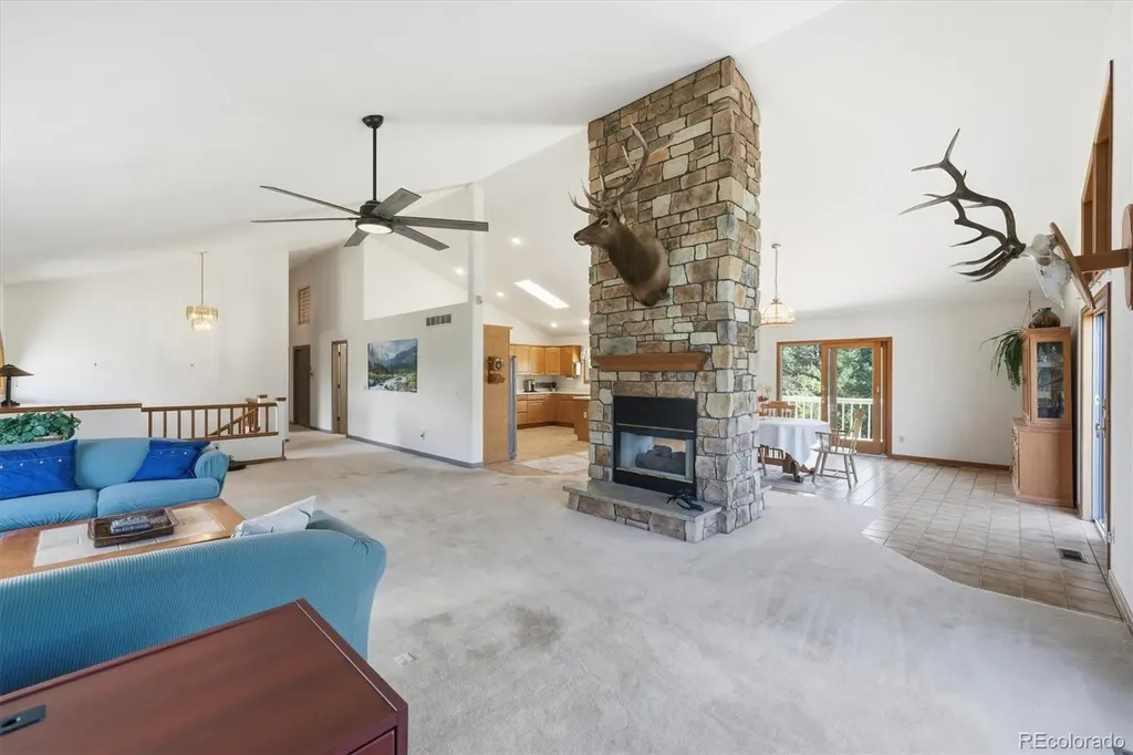5919 Irish Pat Murphy Drive Parker CO 80134