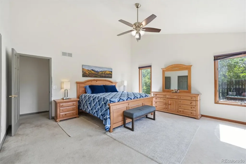 5919 Irish Pat Murphy Drive Parker CO 80134