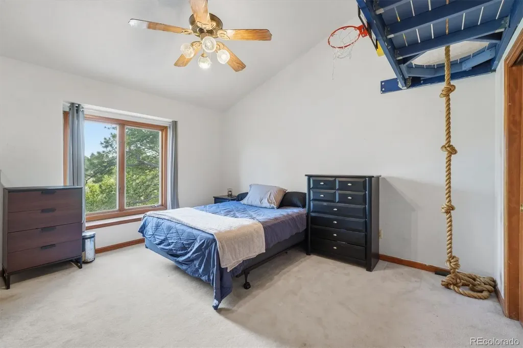 5919 Irish Pat Murphy Drive Parker CO 80134