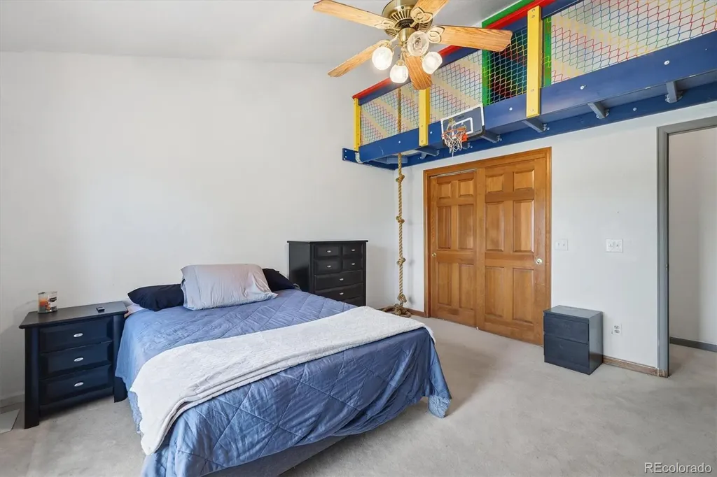 5919 Irish Pat Murphy Drive Parker CO 80134