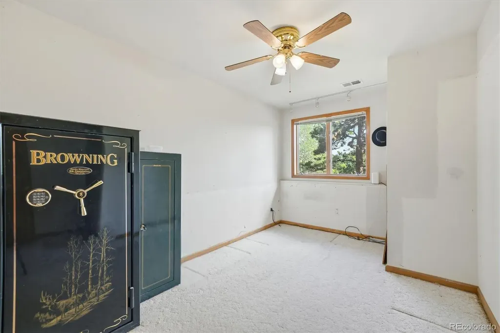 5919 Irish Pat Murphy Drive Parker CO 80134