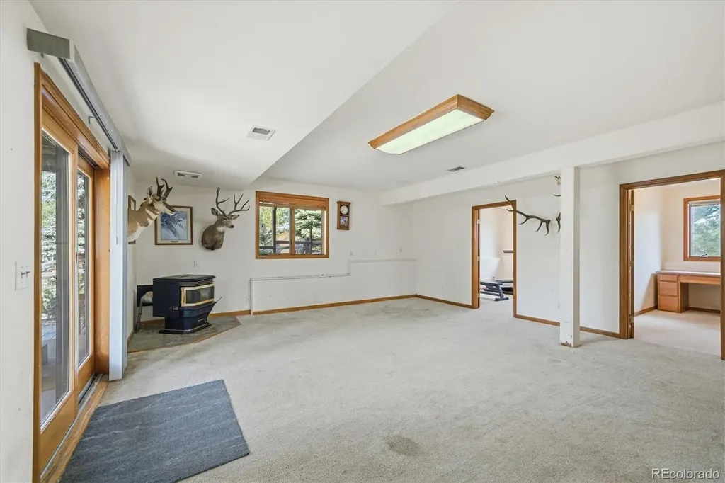 5919 Irish Pat Murphy Drive Parker CO 80134