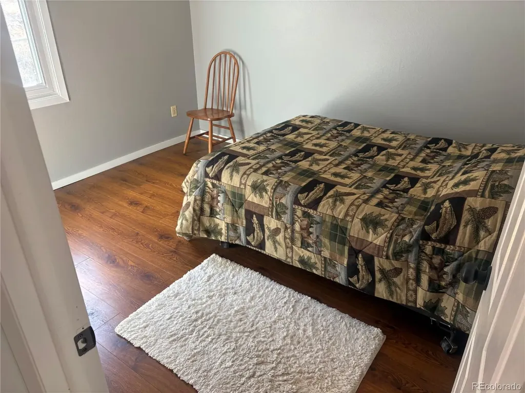 1772 Clear Creek Drive Georgetown CO 80444