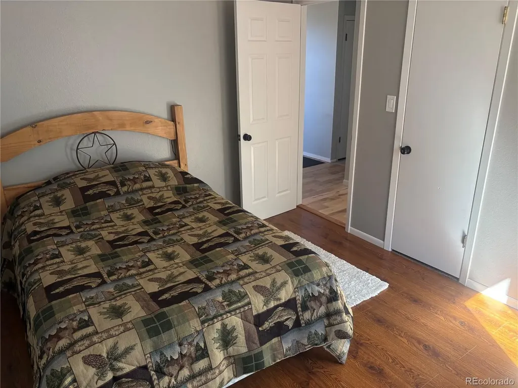 1772 Clear Creek Drive Georgetown CO 80444
