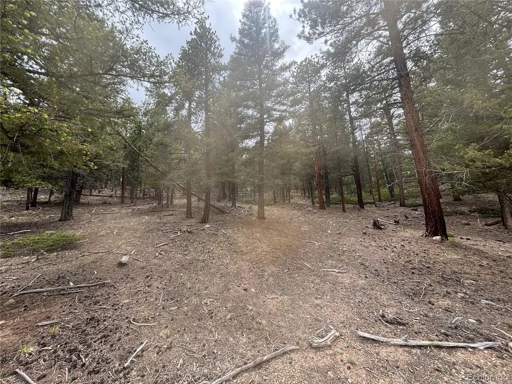 30304 Aspen Turn Buena Vista CO 81211