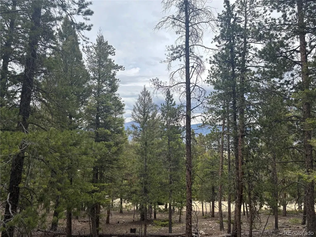 30304 Aspen Turn Buena Vista CO 81211