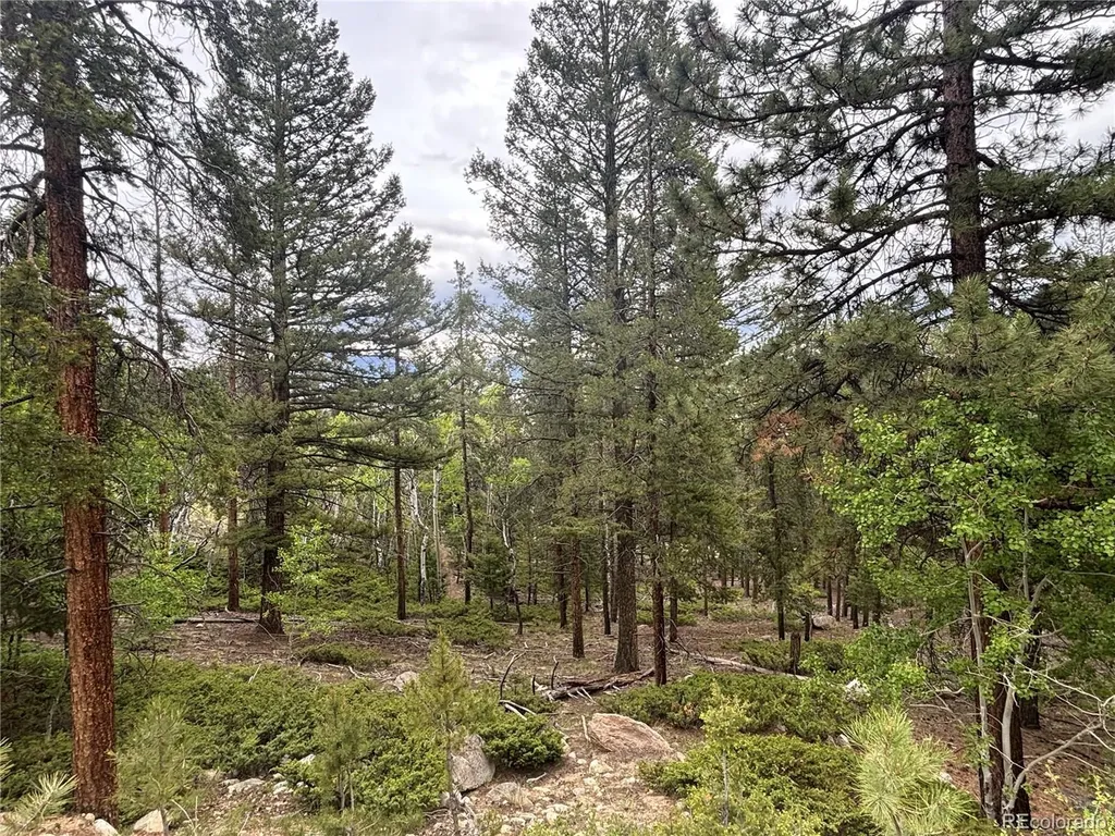 30304 Aspen Turn Buena Vista CO 81211