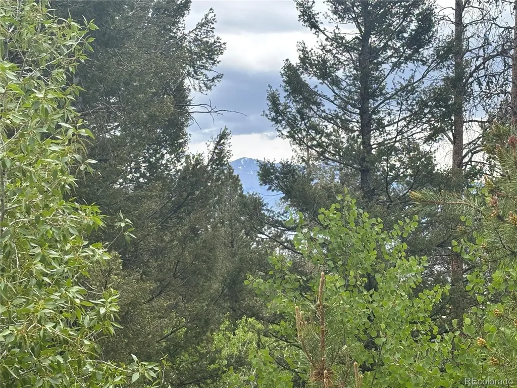 30304 Aspen Turn Buena Vista CO 81211