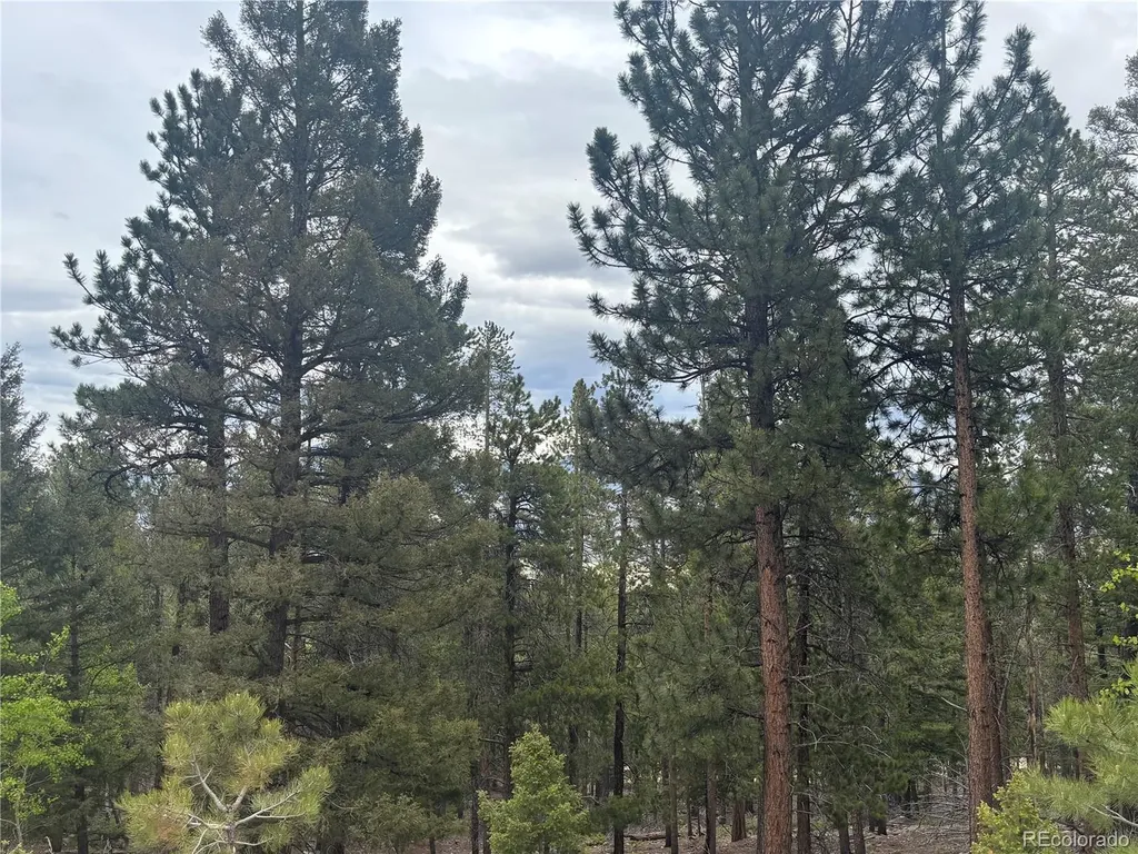 30304 Aspen Turn Buena Vista CO 81211