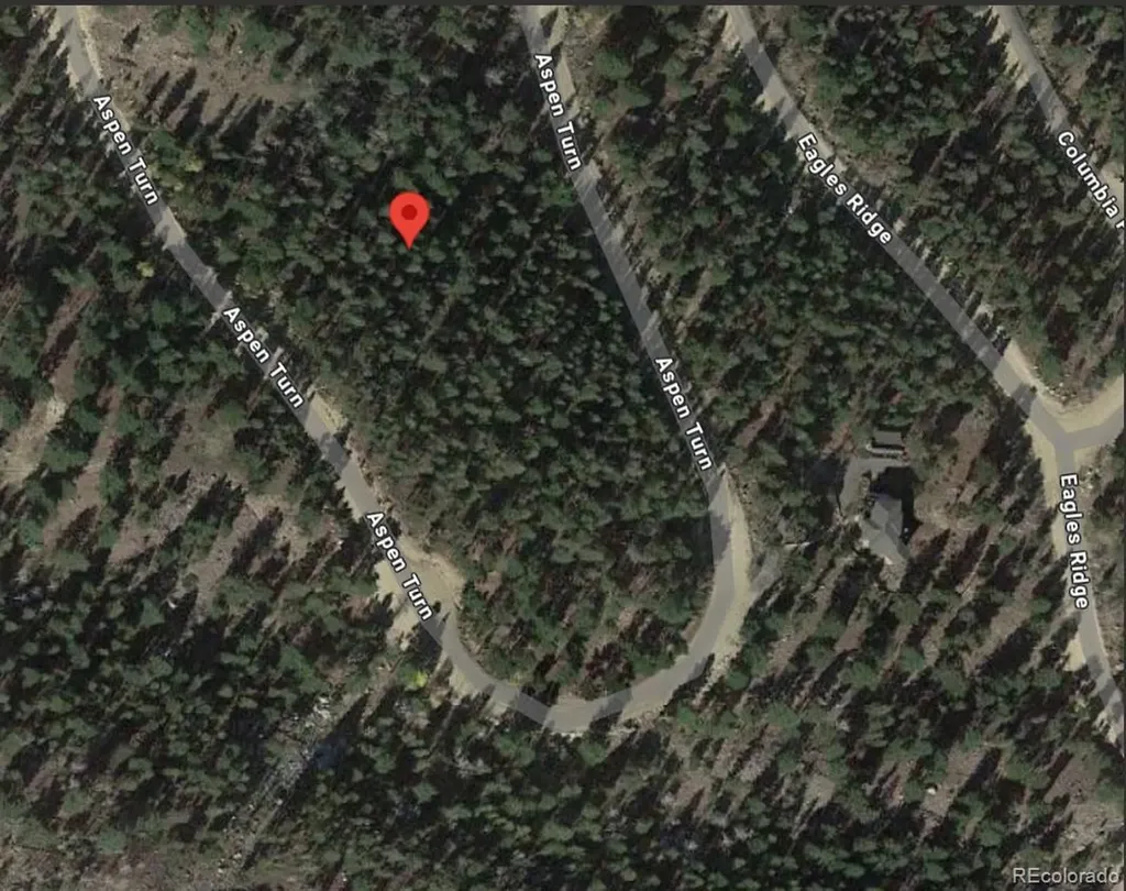 30304 Aspen Turn Buena Vista CO 81211