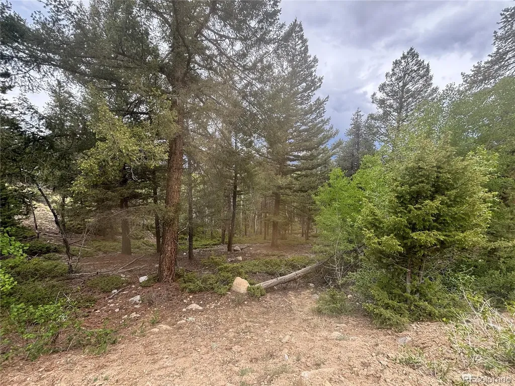 30304 Aspen Turn Buena Vista CO 81211