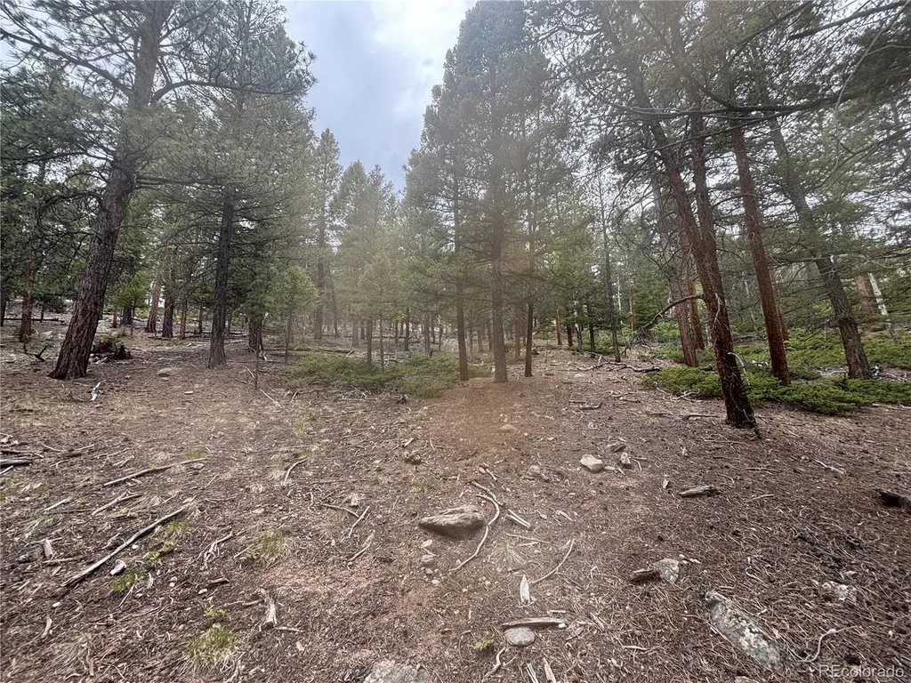 30304 Aspen Turn Buena Vista CO 81211