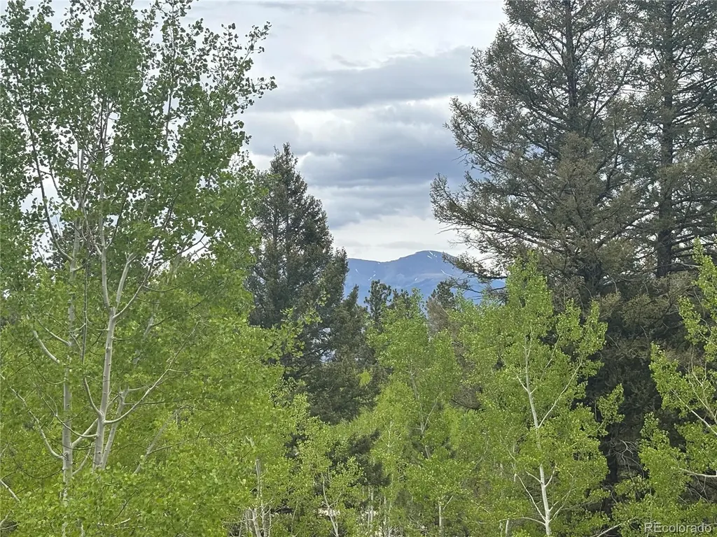 30304 Aspen Turn Buena Vista CO 81211