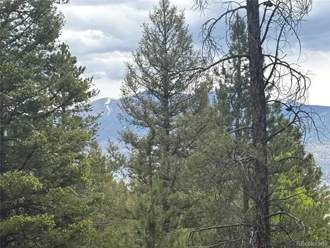 30304 Aspen Turn Buena Vista CO 81211