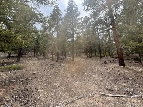 30304 Aspen Turn Buena Vista CO 81211