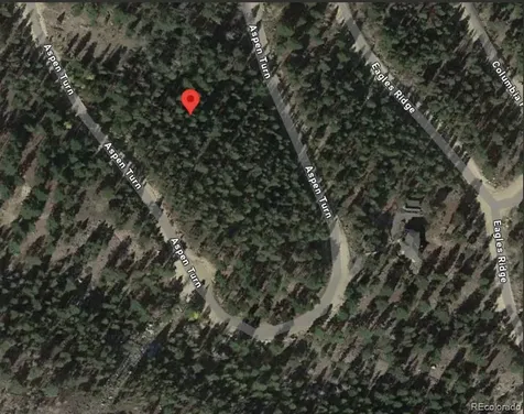 30304 Aspen Turn Buena Vista CO 81211