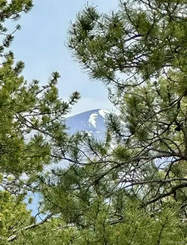 30304 Aspen Turn Buena Vista CO 81211