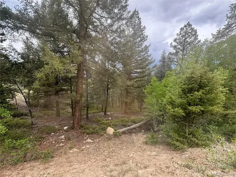 30304 Aspen Turn Buena Vista CO 81211