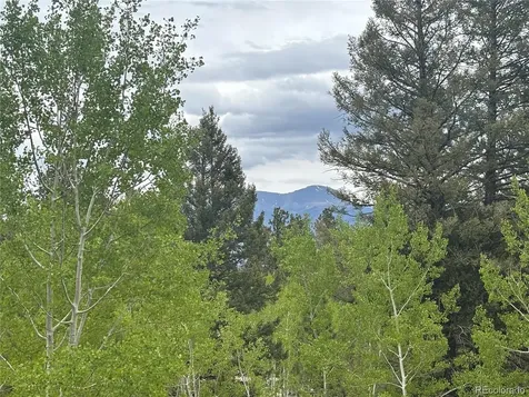 30304 Aspen Turn Buena Vista CO 81211
