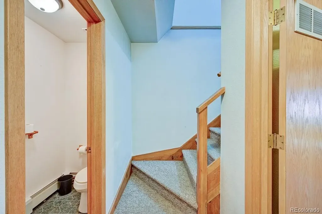 18060 Rio Hondo Drive Buena Vista CO 81211