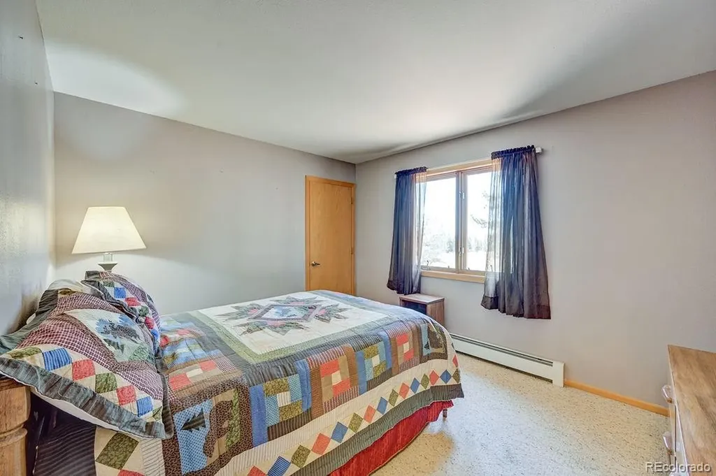 18060 Rio Hondo Drive Buena Vista CO 81211