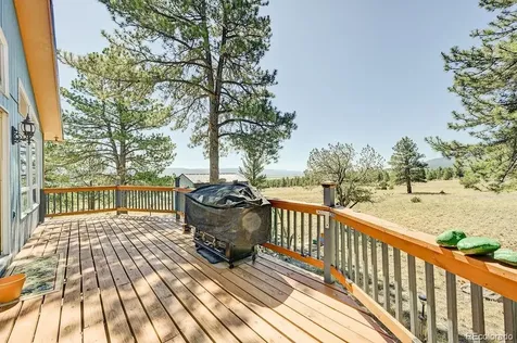 18060 Rio Hondo Drive Buena Vista CO 81211