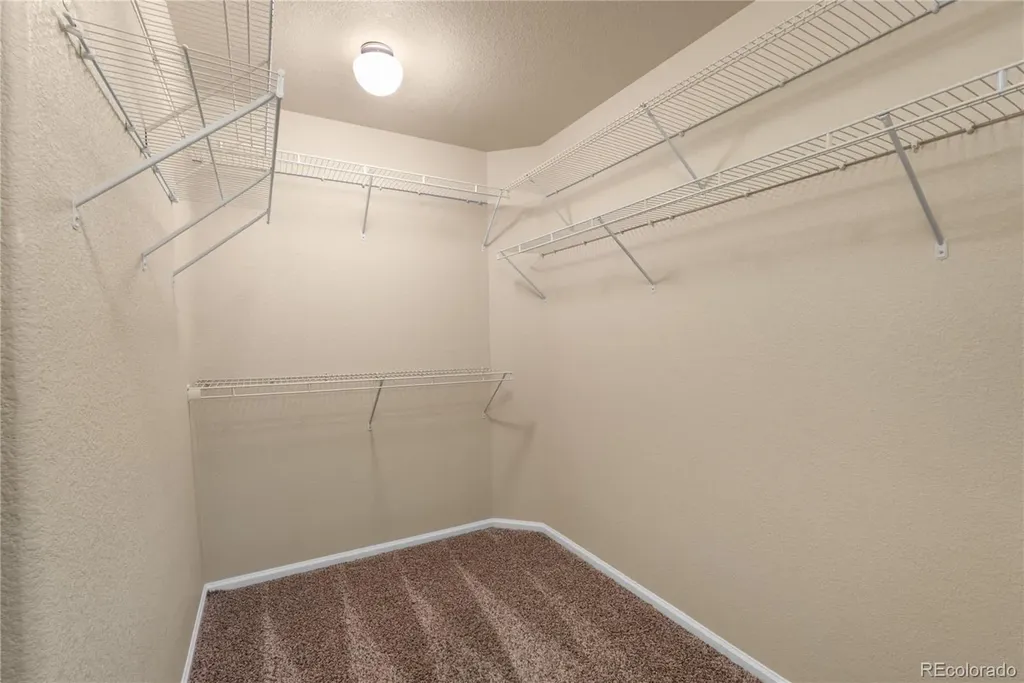 7848 Springwood Terrace Colorado Springs CO 80908
