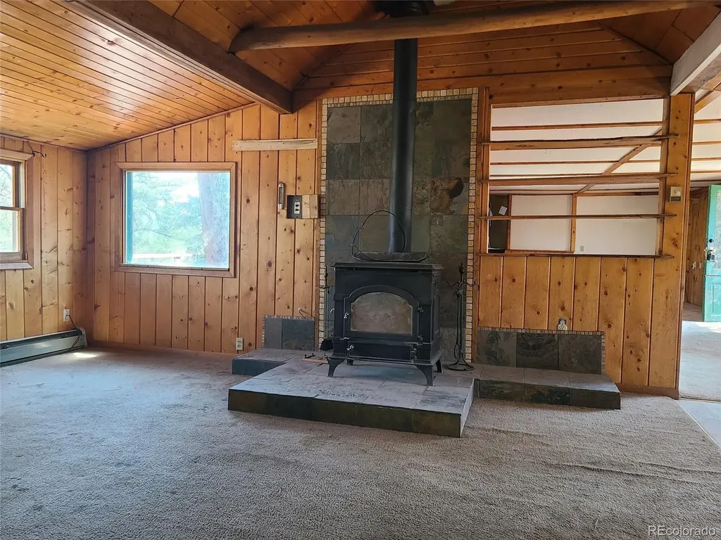 23721 Summit Street Pine CO 80470