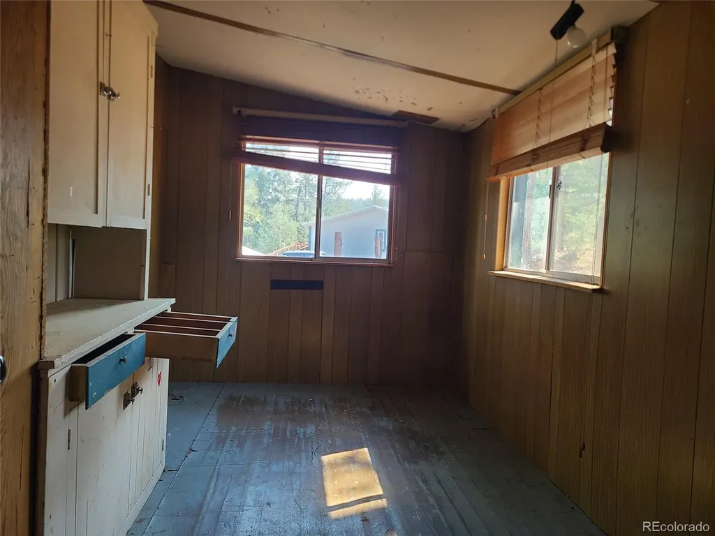 23721 Summit Street Pine CO 80470