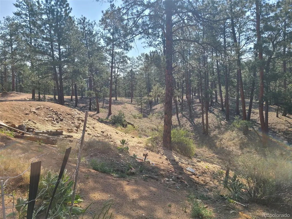 23721 Summit Street Pine CO 80470
