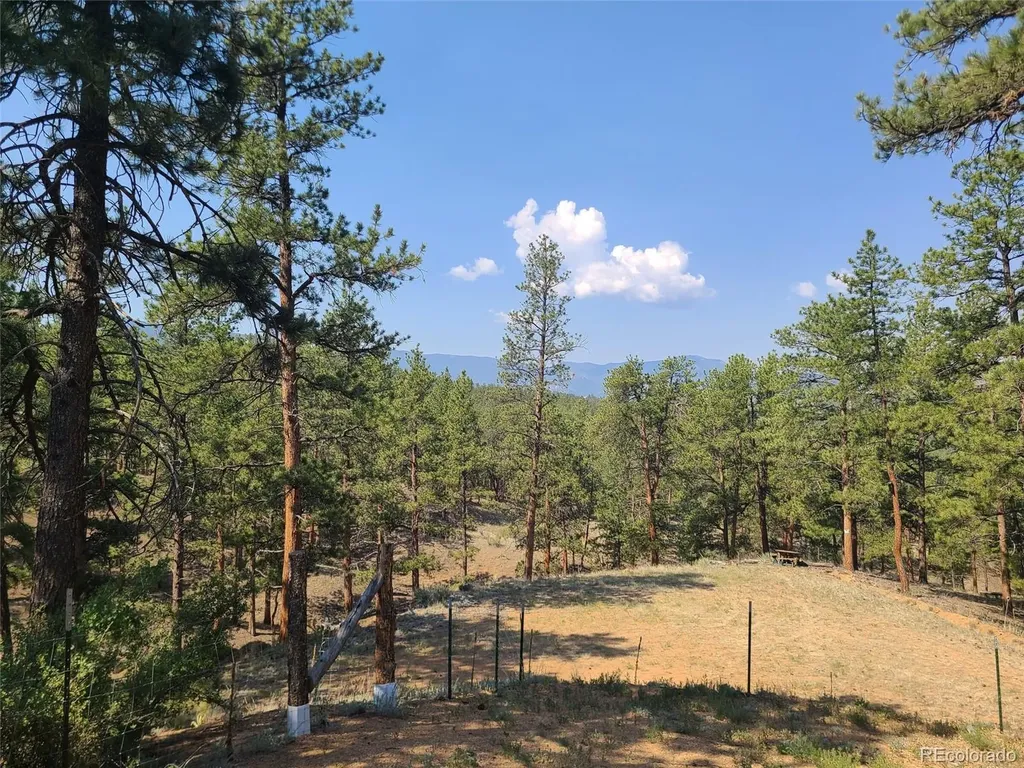 23721 Summit Street Pine CO 80470