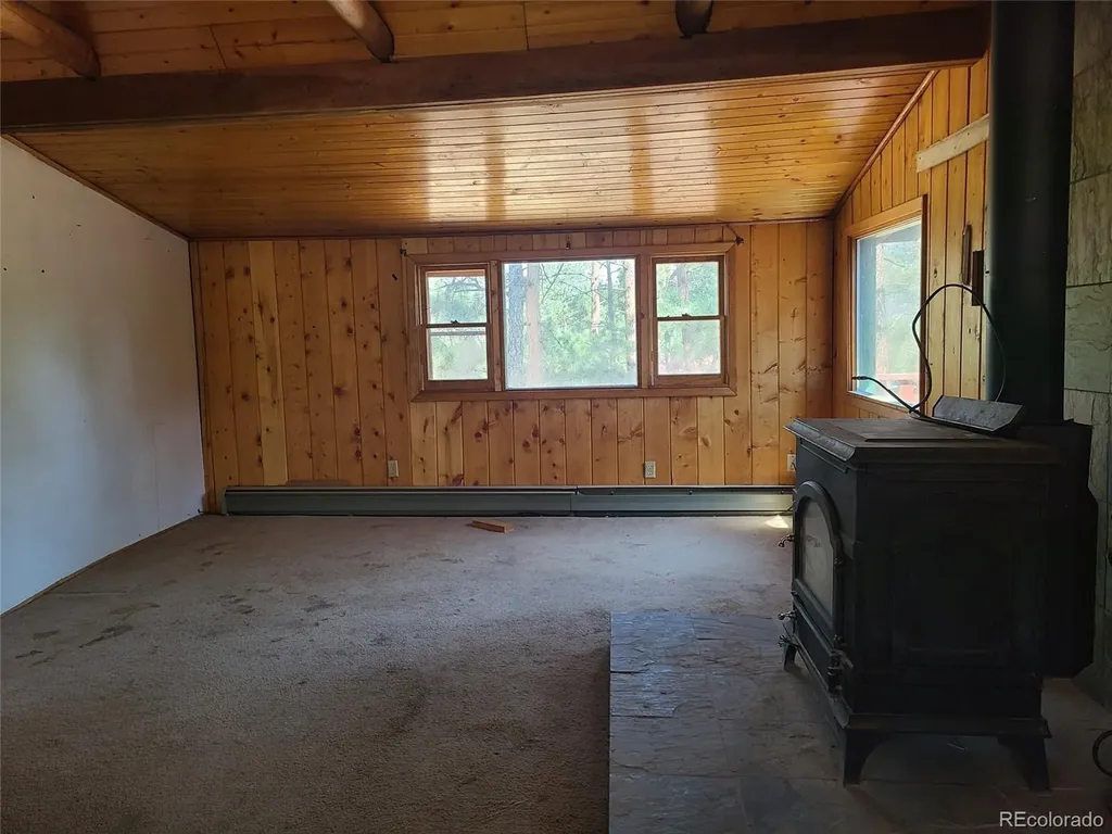 23721 Summit Street Pine CO 80470