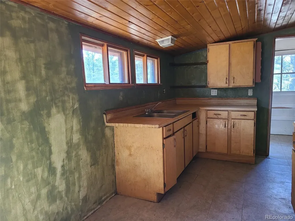 23721 Summit Street Pine CO 80470