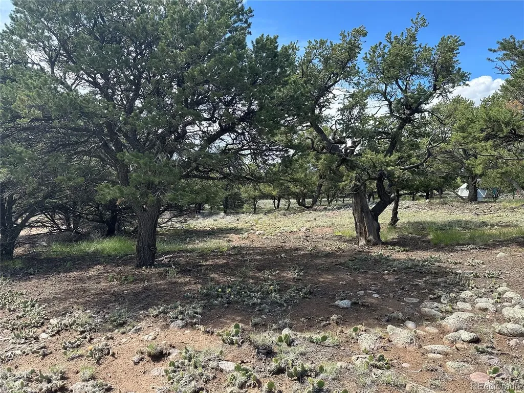 3694 Enchanted Way Crestone CO 81131