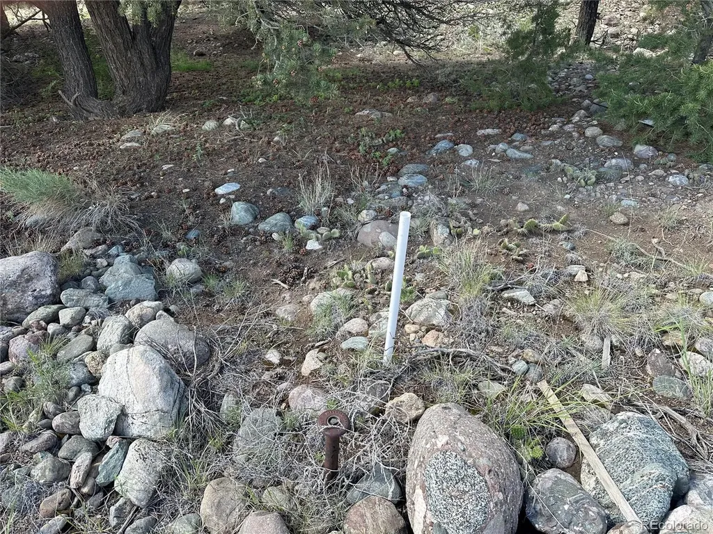 3694 Enchanted Way Crestone CO 81131