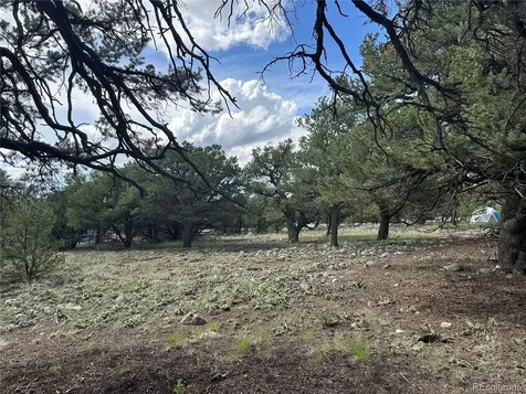3694 Enchanted Way Crestone CO 81131