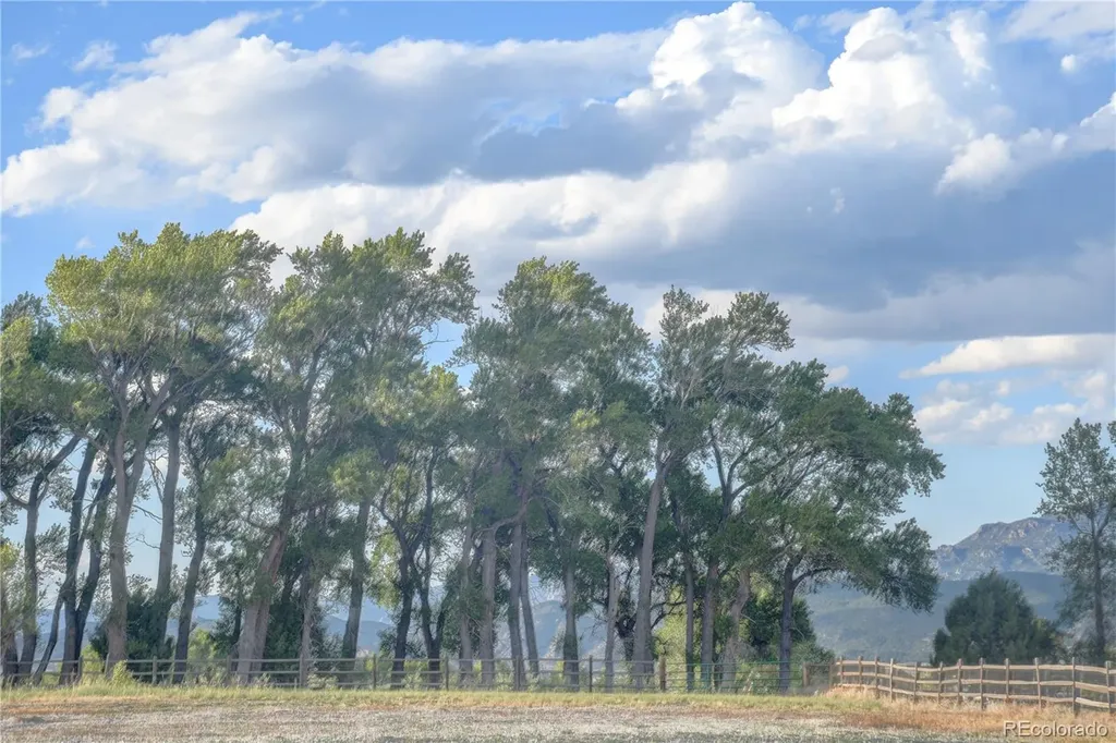 8815 Cameron Meadow Circle Salida CO 81201