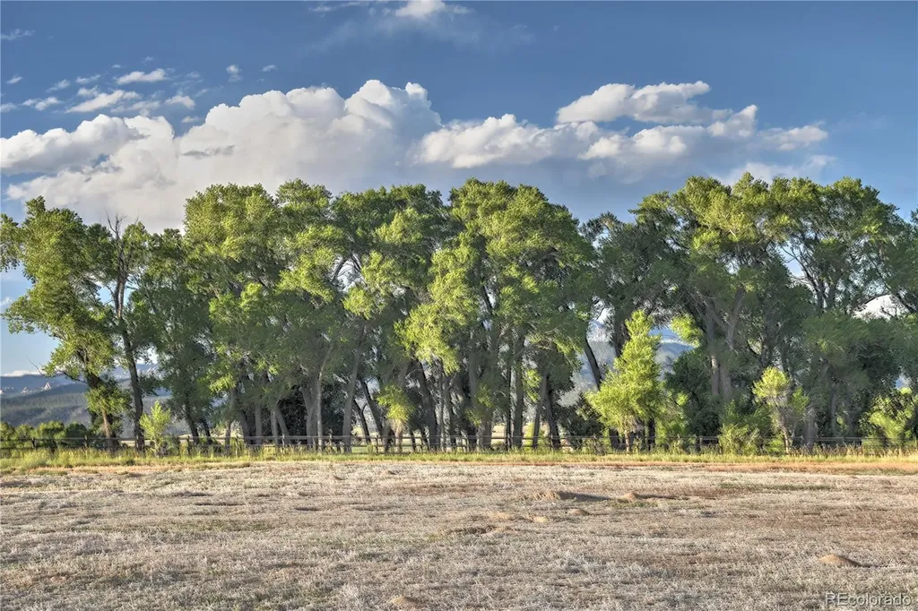 8815 Cameron Meadow Circle Salida CO 81201