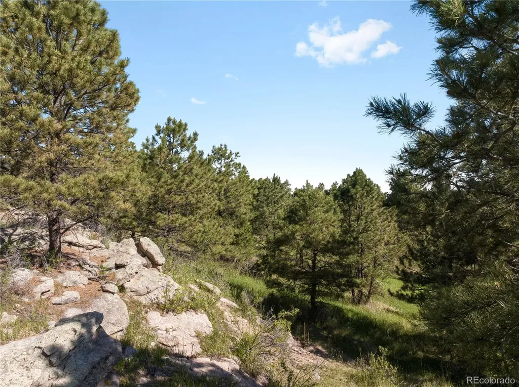18673 N Elbert Road Elbert CO 80106