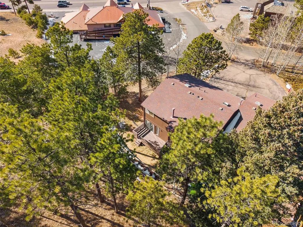 590 Manor Court Woodland Park CO 80863