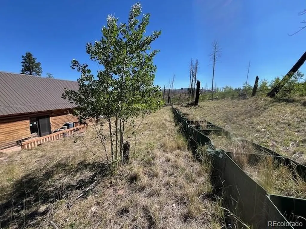 906 Huntington Lane Fort Garland CO 81133