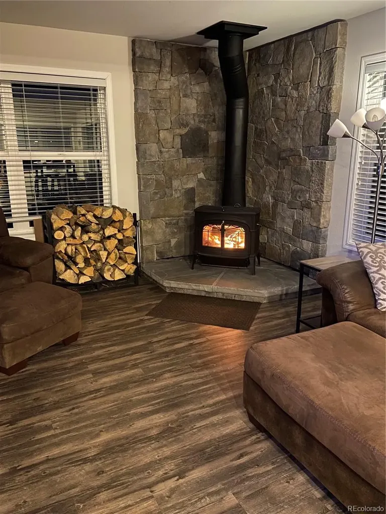 154 Brooklyn Circle Leadville CO 80461