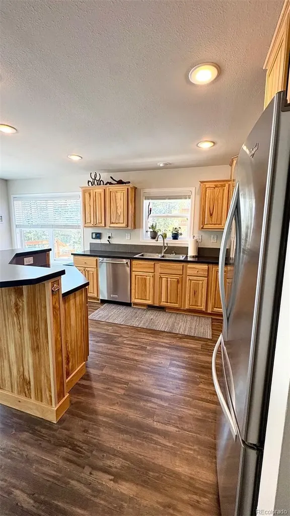 154 Brooklyn Circle Leadville CO 80461