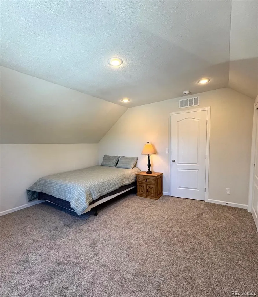 154 Brooklyn Circle Leadville CO 80461