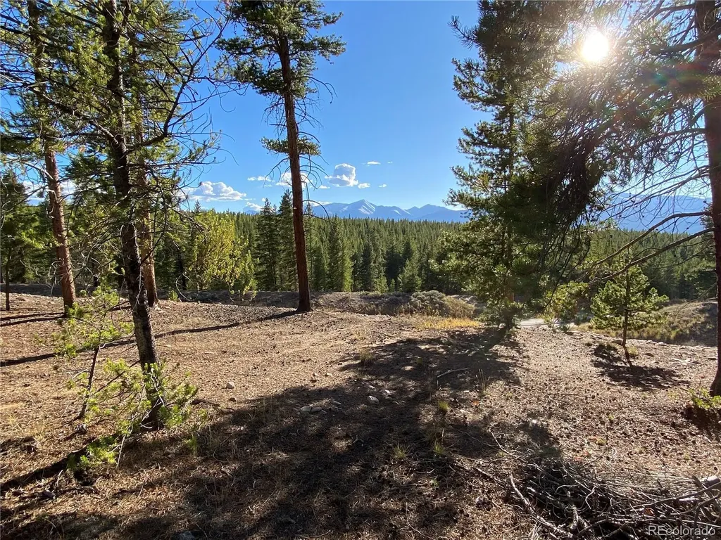 154 Brooklyn Circle Leadville CO 80461