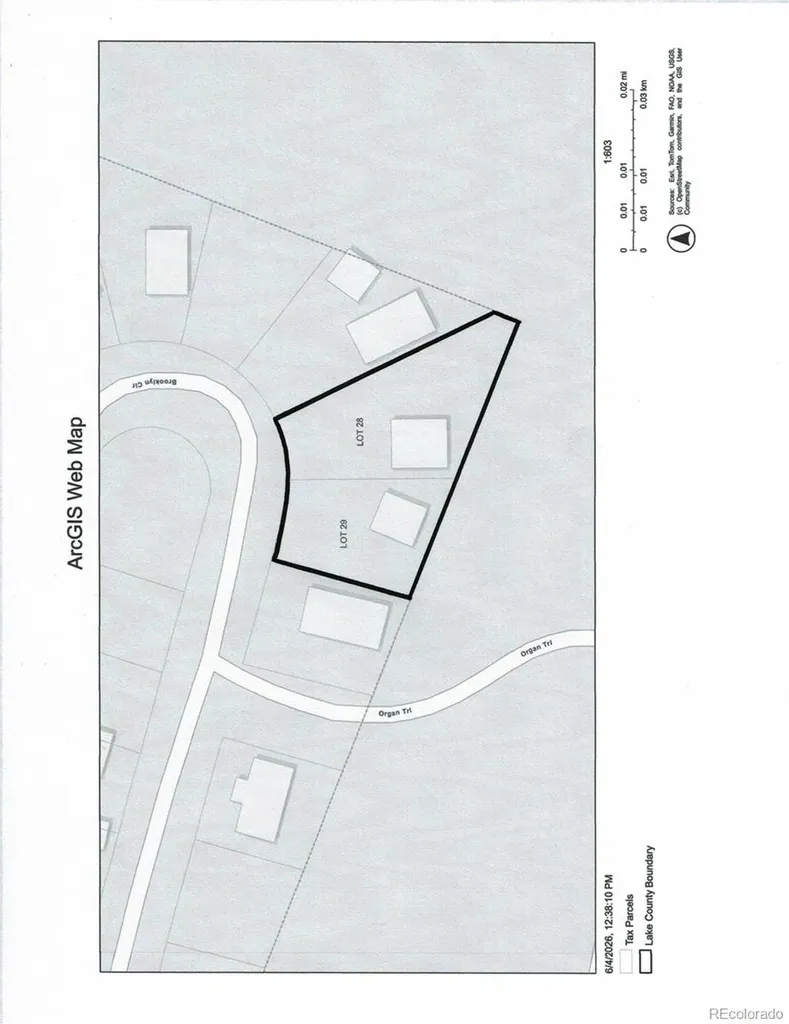 154 Brooklyn Circle Leadville CO 80461