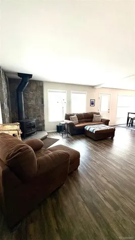 154 Brooklyn Circle Leadville CO 80461