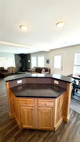 154 Brooklyn Circle Leadville CO 80461