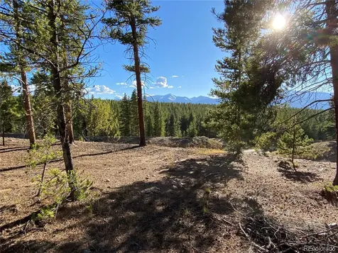 154 Brooklyn Circle Leadville CO 80461